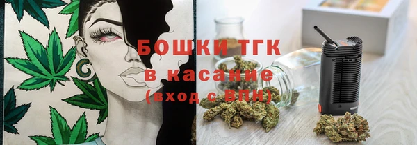 прущие грибы Алзамай