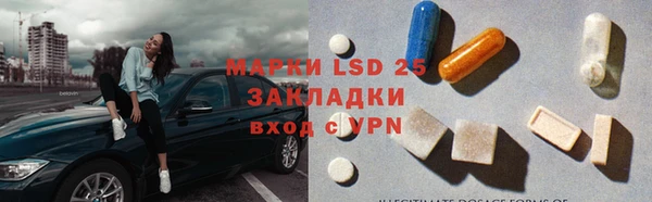 прущие грибы Алзамай