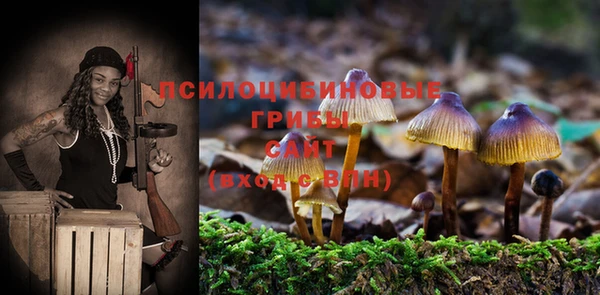 прущие грибы Алзамай